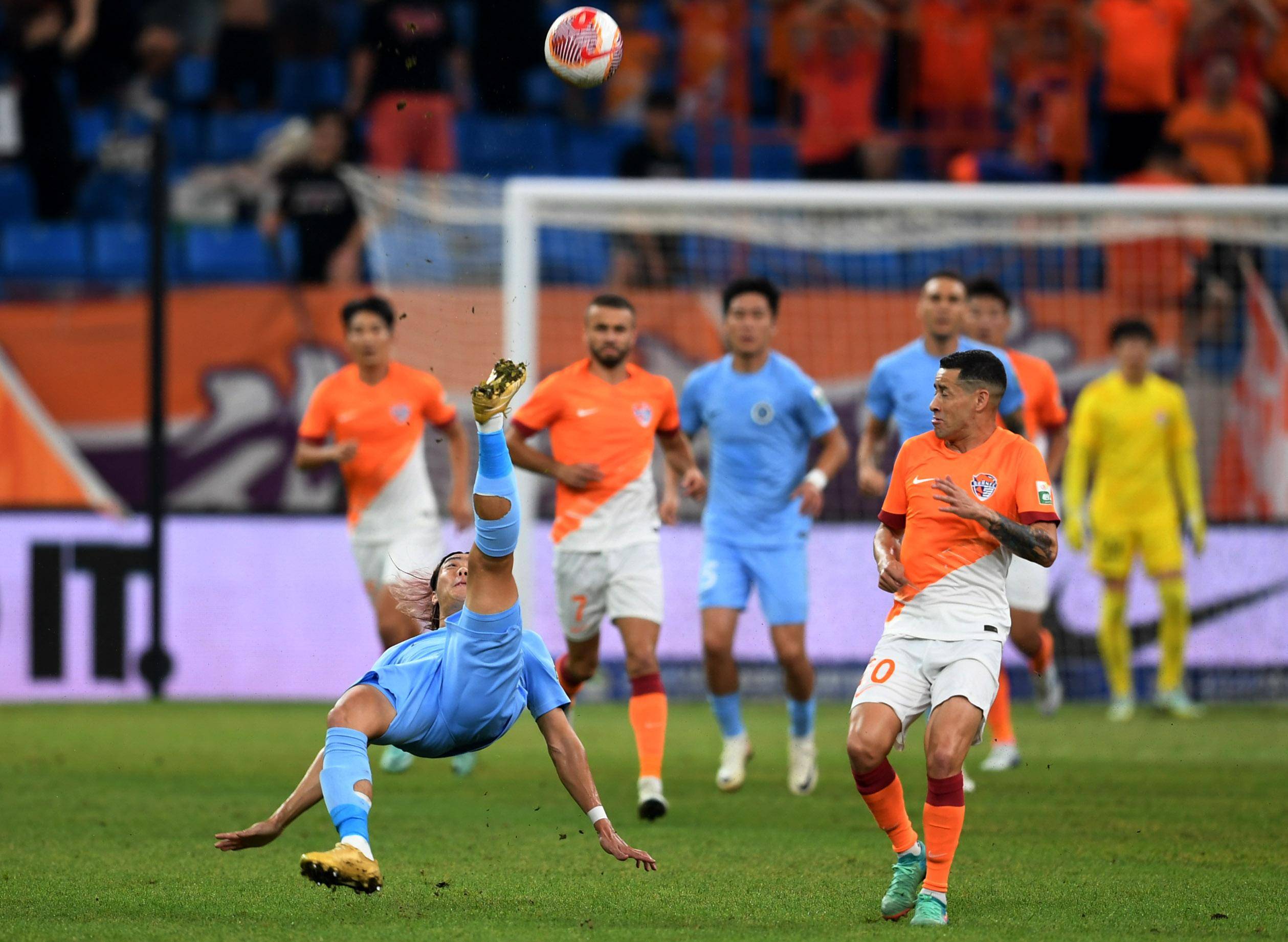 迷的神经 迷的神经